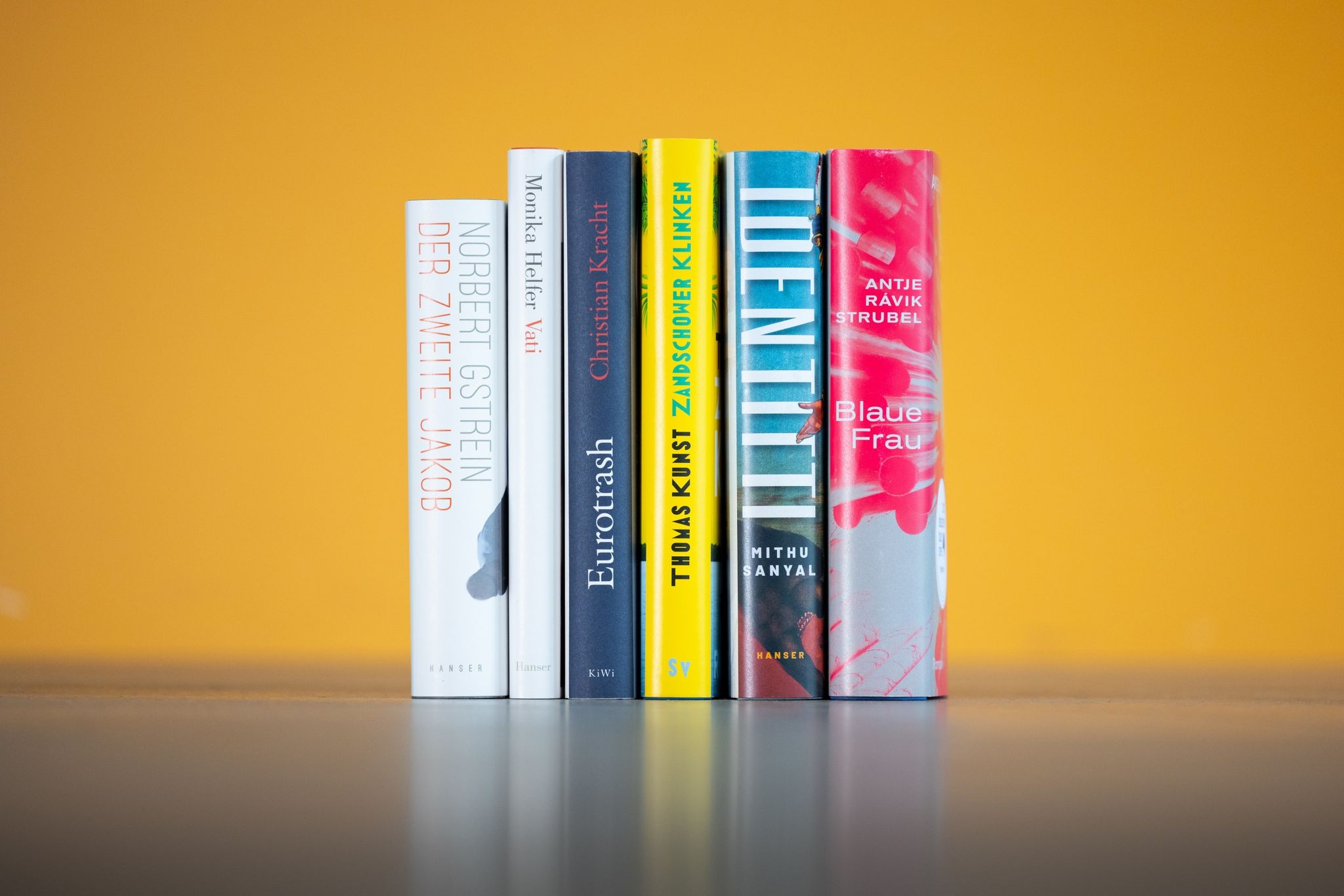 Buchpreis-Shortlist: So bunt wie das Leben