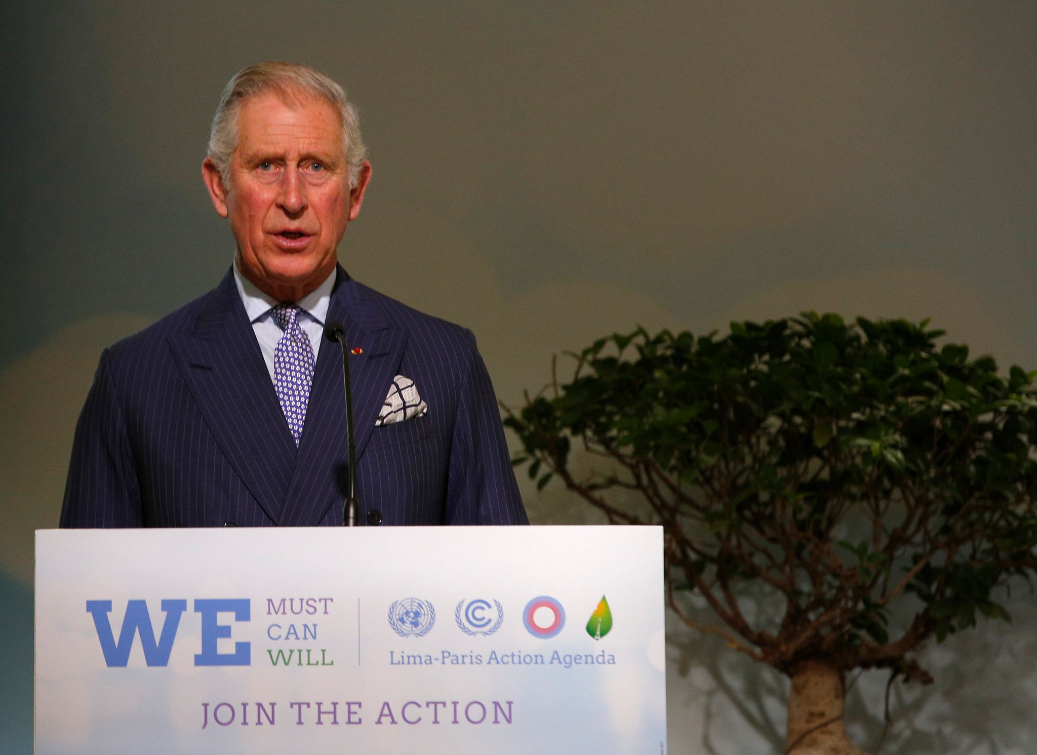 Prinz Charles versteht «verzweifelte» Klimademonstranten