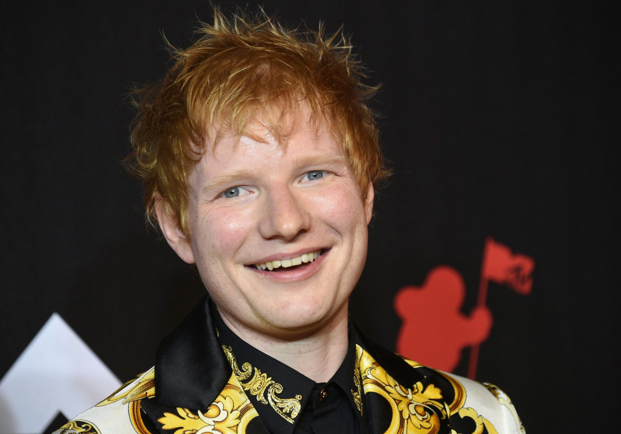 «Versuche mein Bestes» – Ed Sheeran will Bäume pflanzen