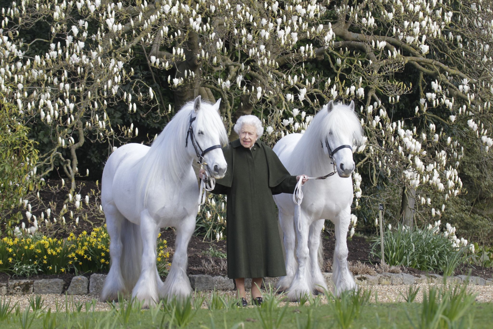Queen feiert zum 96. Geburtstag ihre Liebe zu Pferden