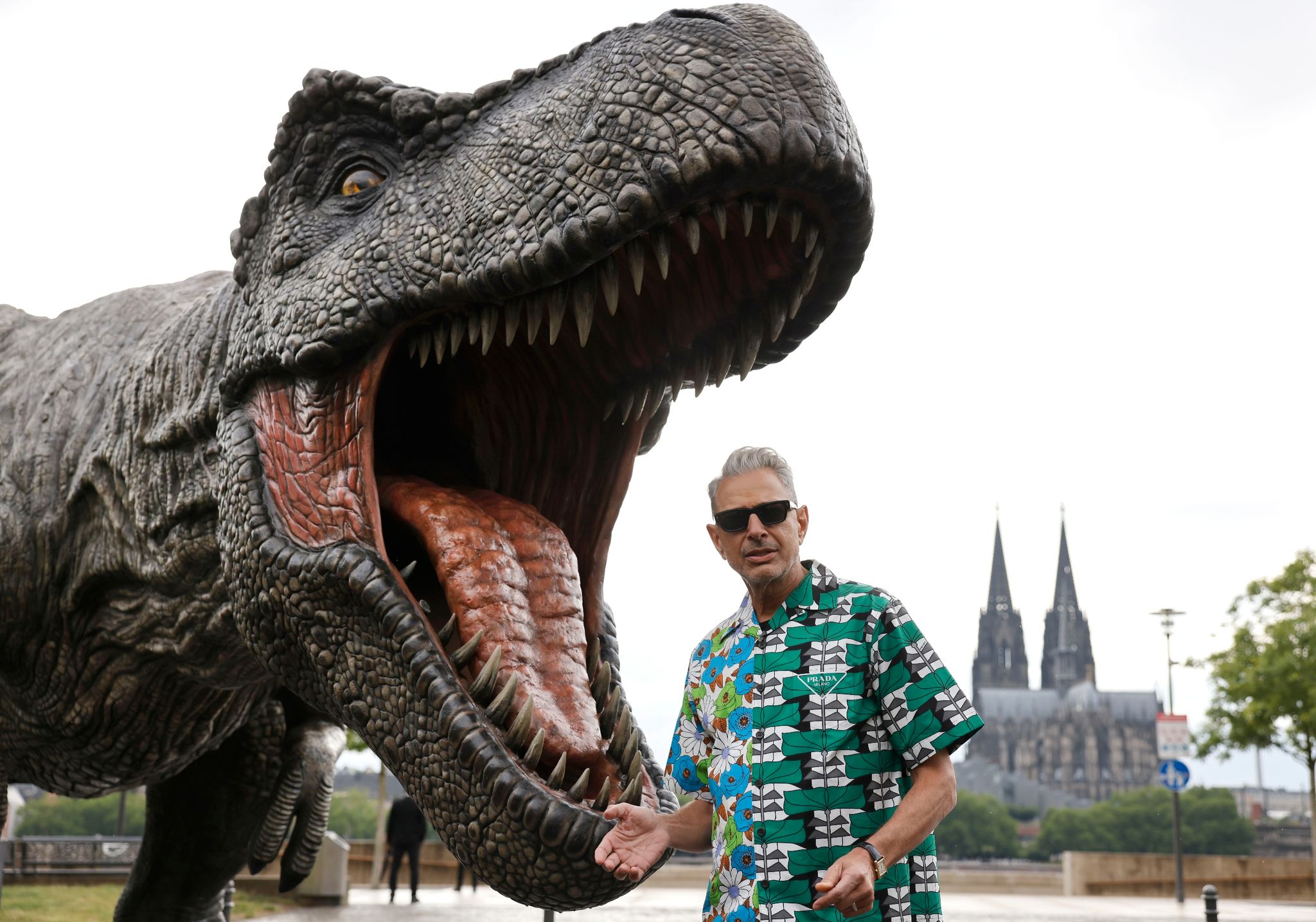 Jeff Goldblum würde keine Dinosaurier treffen wollen
