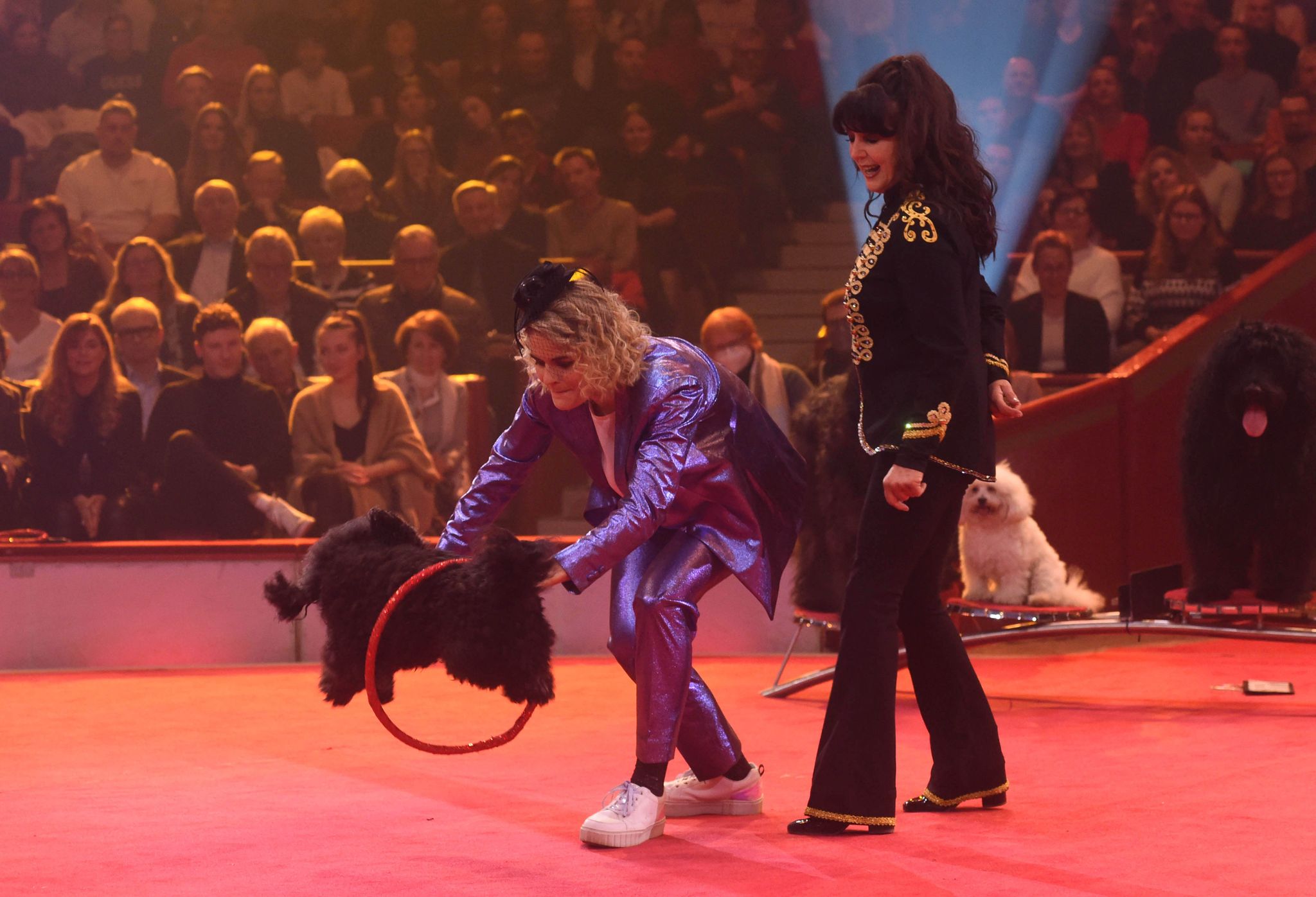 Bei neuer Sat.1-Zirkus-Show zaubern «Stars in der Manege»