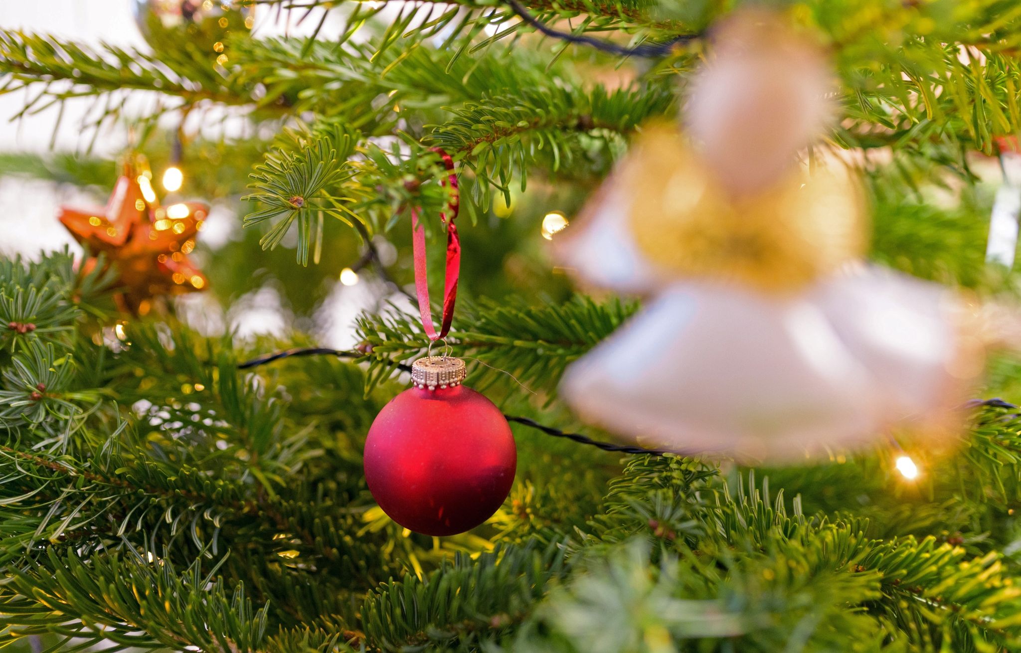 Abkehr von klassischen Weihnachtsliedern – Hauptsache Singen