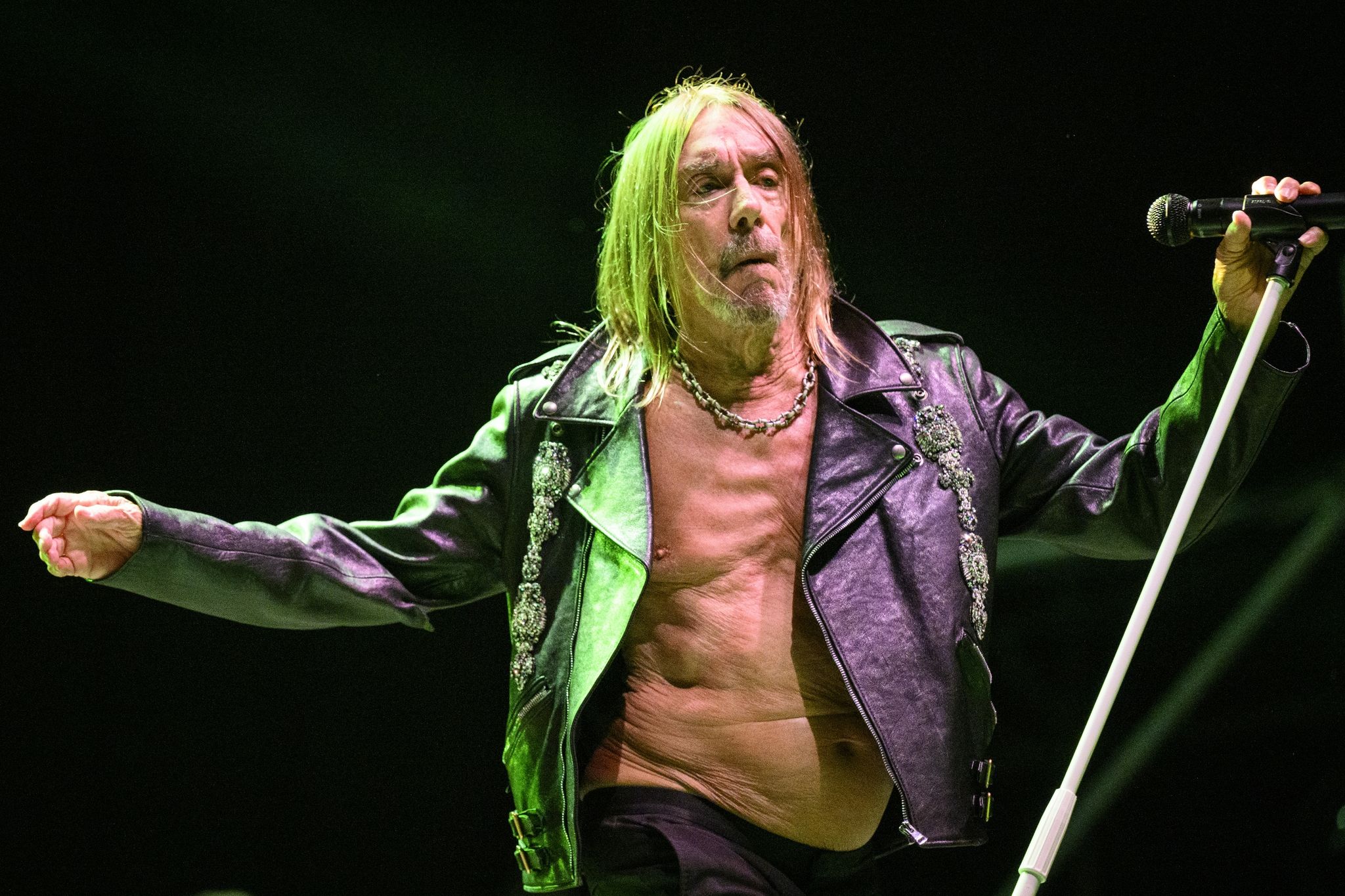75 Jahre und kein bisschen leise: Iggy Pop rockt wieder