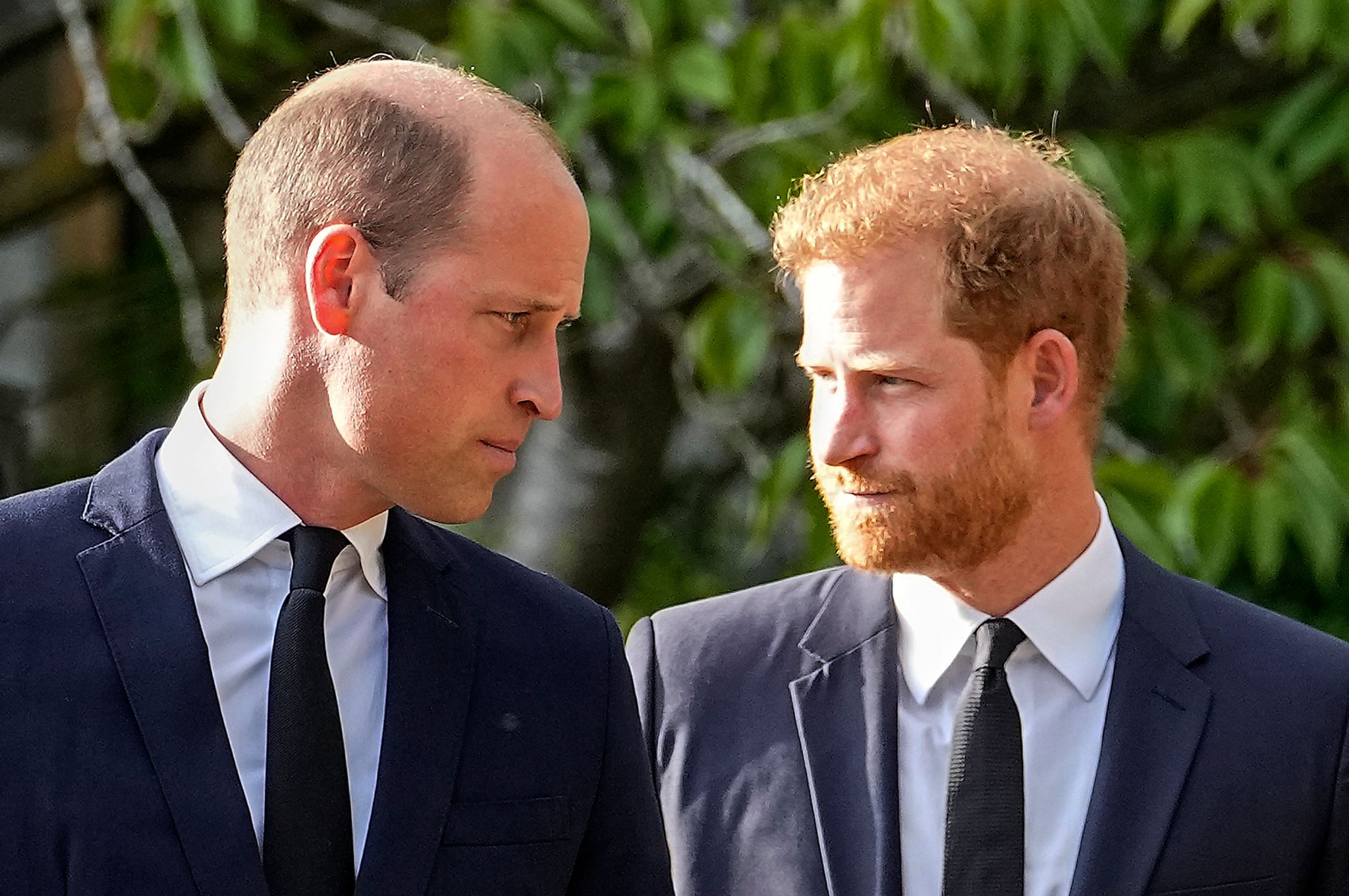 Harry wirft William körperlichen Angriff vor