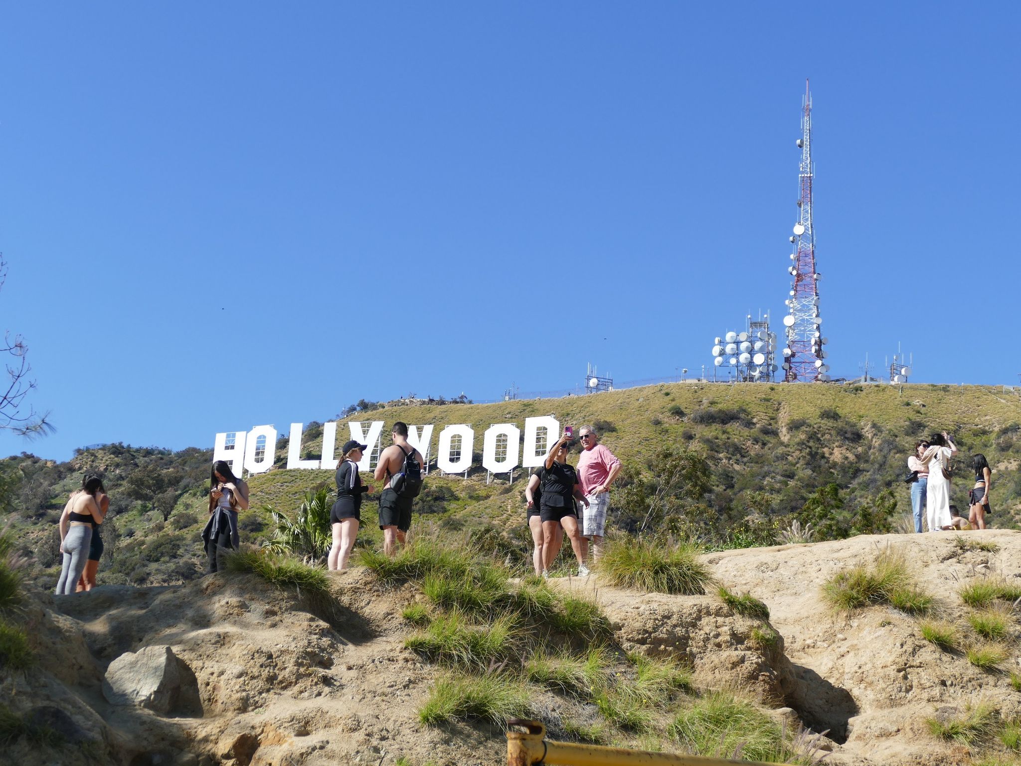 Der HOLLYWOOD-Schriftzug wird 100