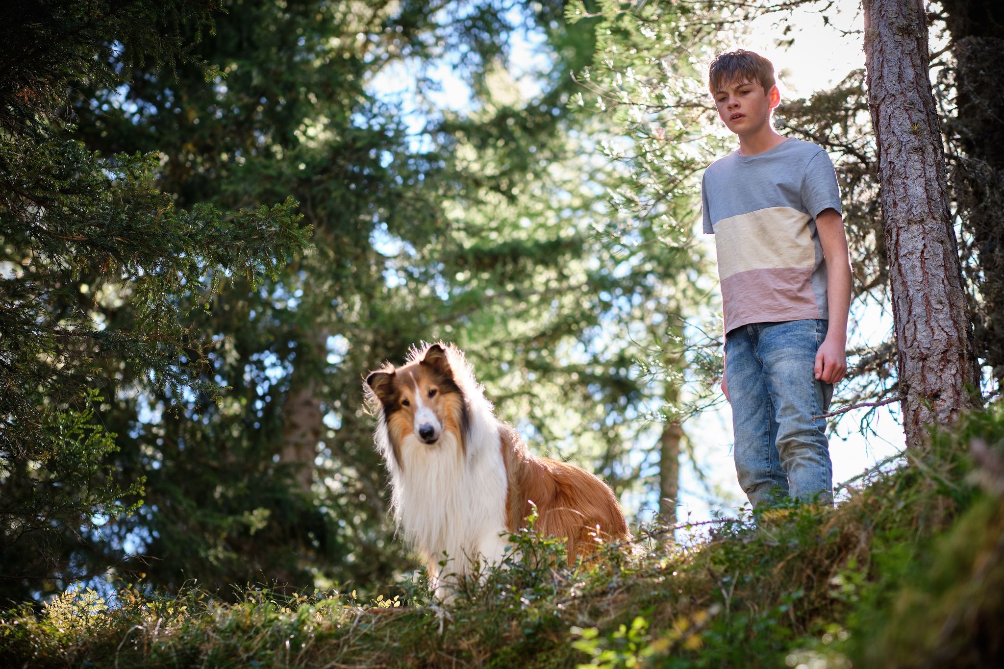 Mit Lassie nach Südtirol