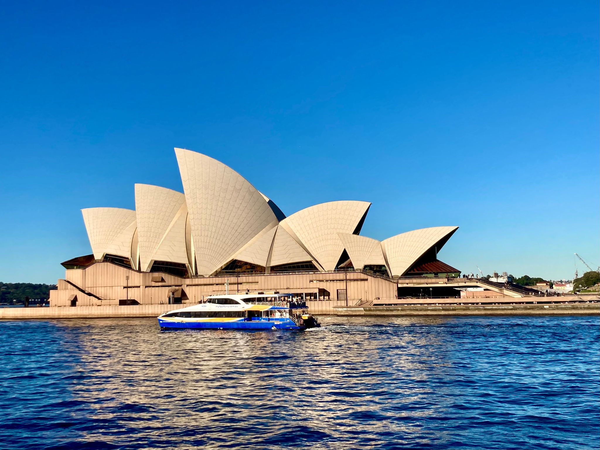 Wahrzeichen Australiens: Sydneys Opernhaus wird 50