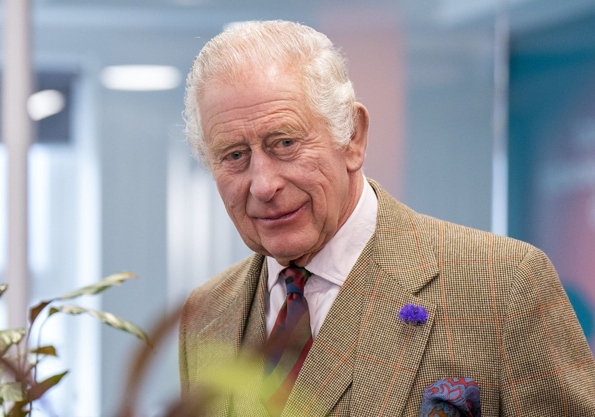 Bericht: Charles vor Prostata-OP nach London zurückgekehrt