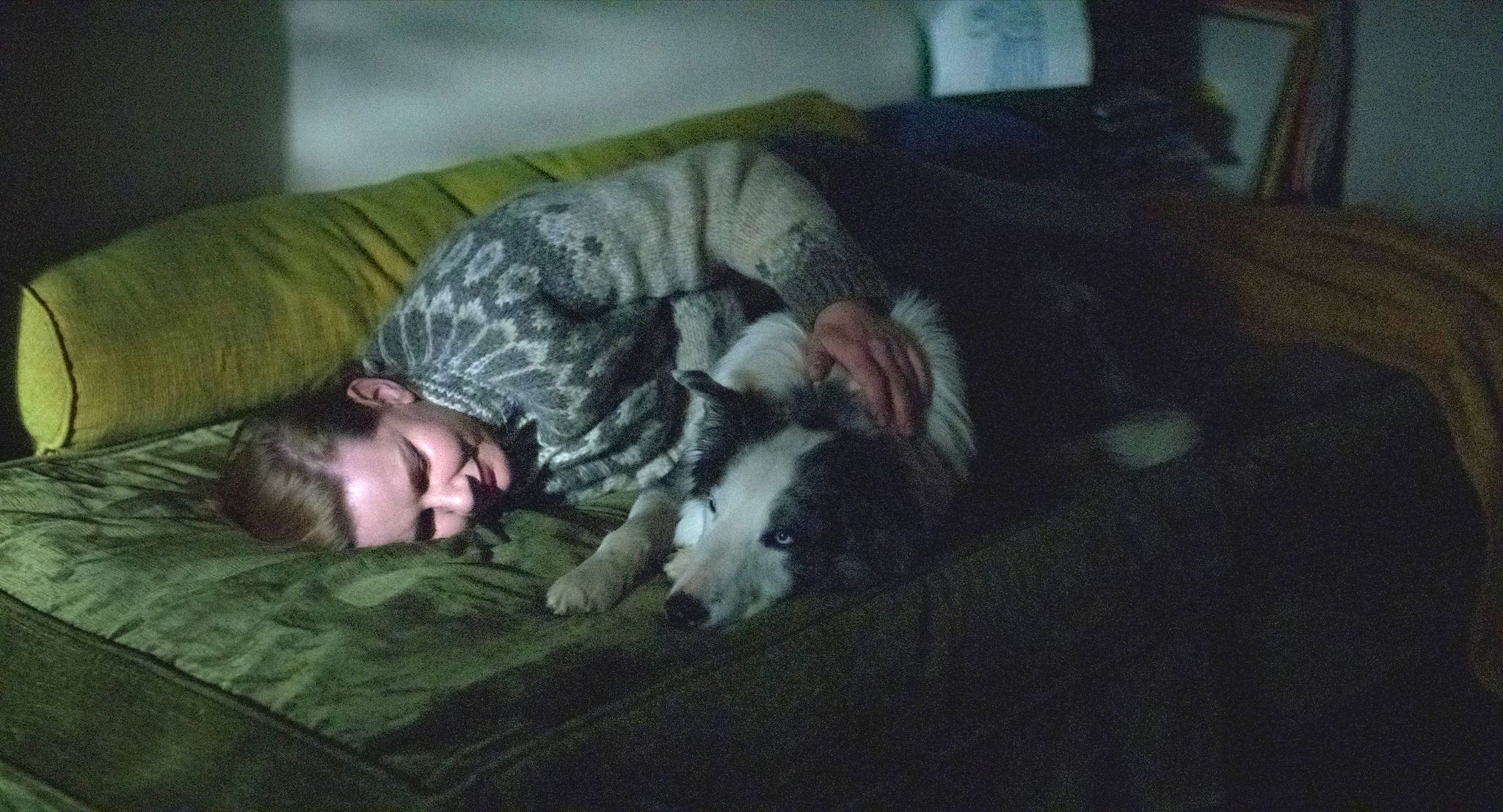Ein Border Collie fasziniert in «Anatomie eines Falls»