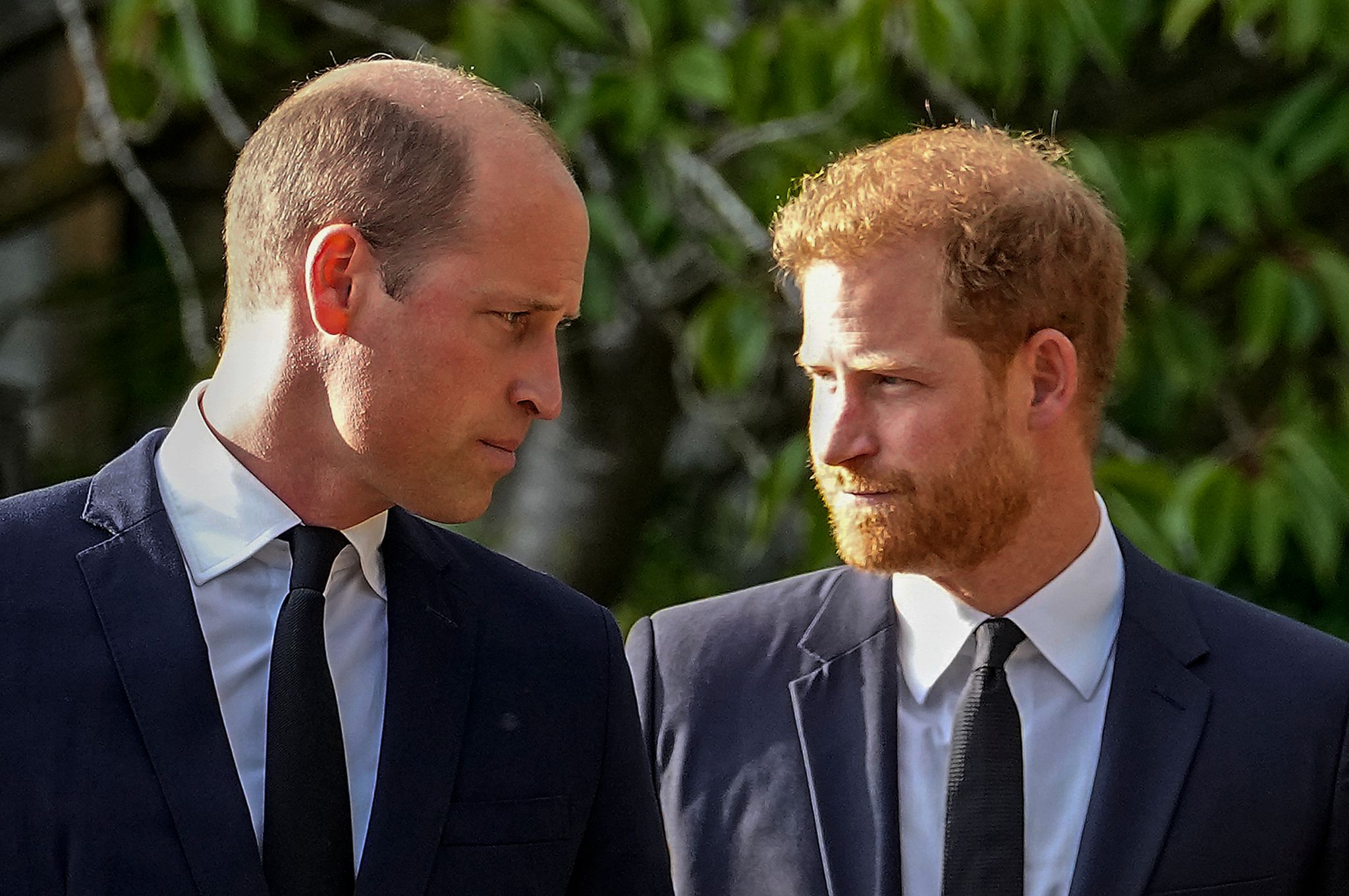 William und Harry treten bei Würdigung Dianas getrennt auf