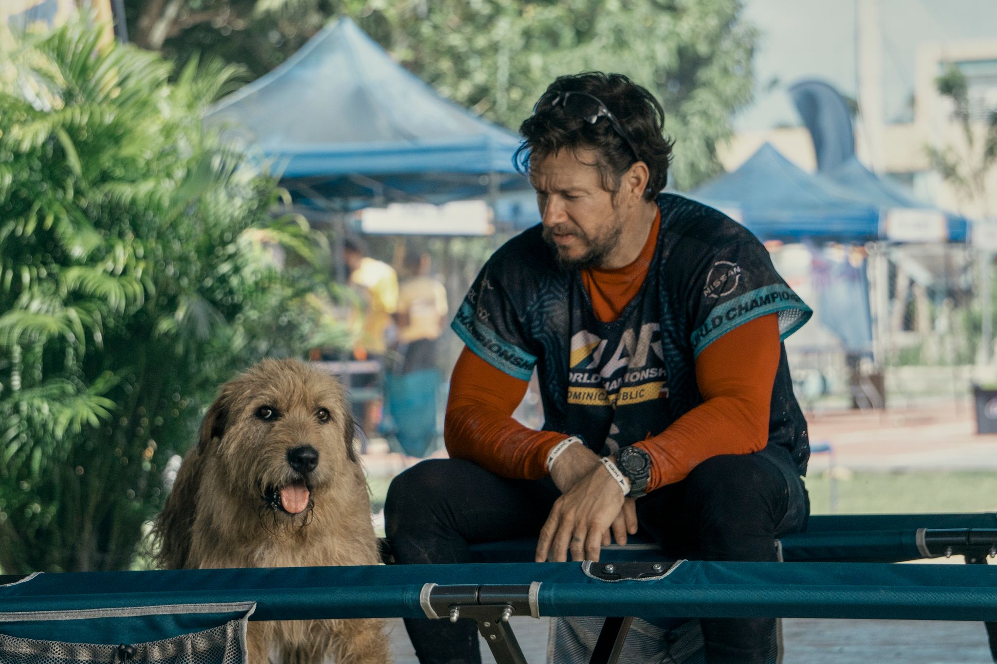Trotz Tierhaar-Allergie: Mark Wahlberg liebt seine Hunde